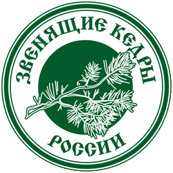 jivi24.ru